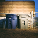 Illustration for article titled Roll 2: Fuji Pro 400H